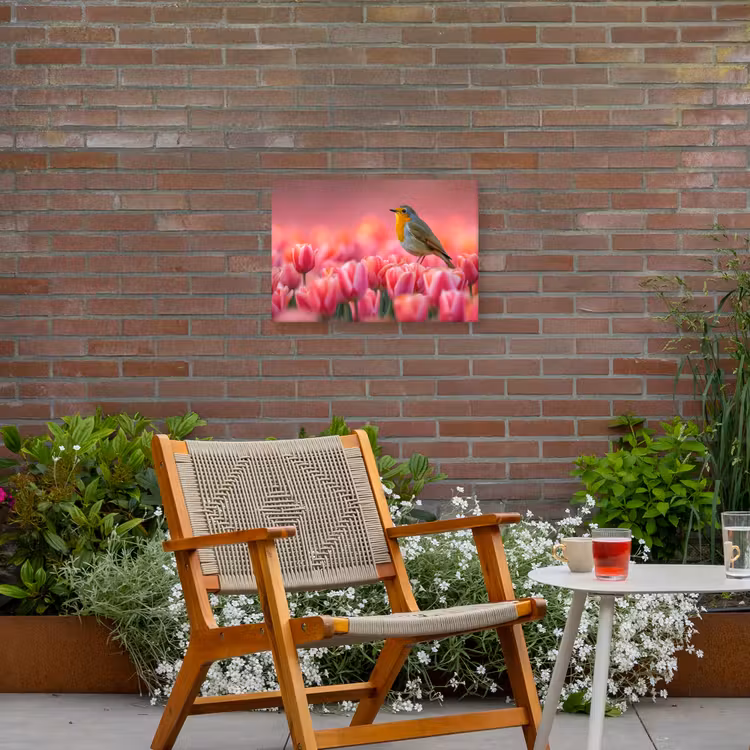 Buiten canvas - Roodborstje in Tulpenveld — 2