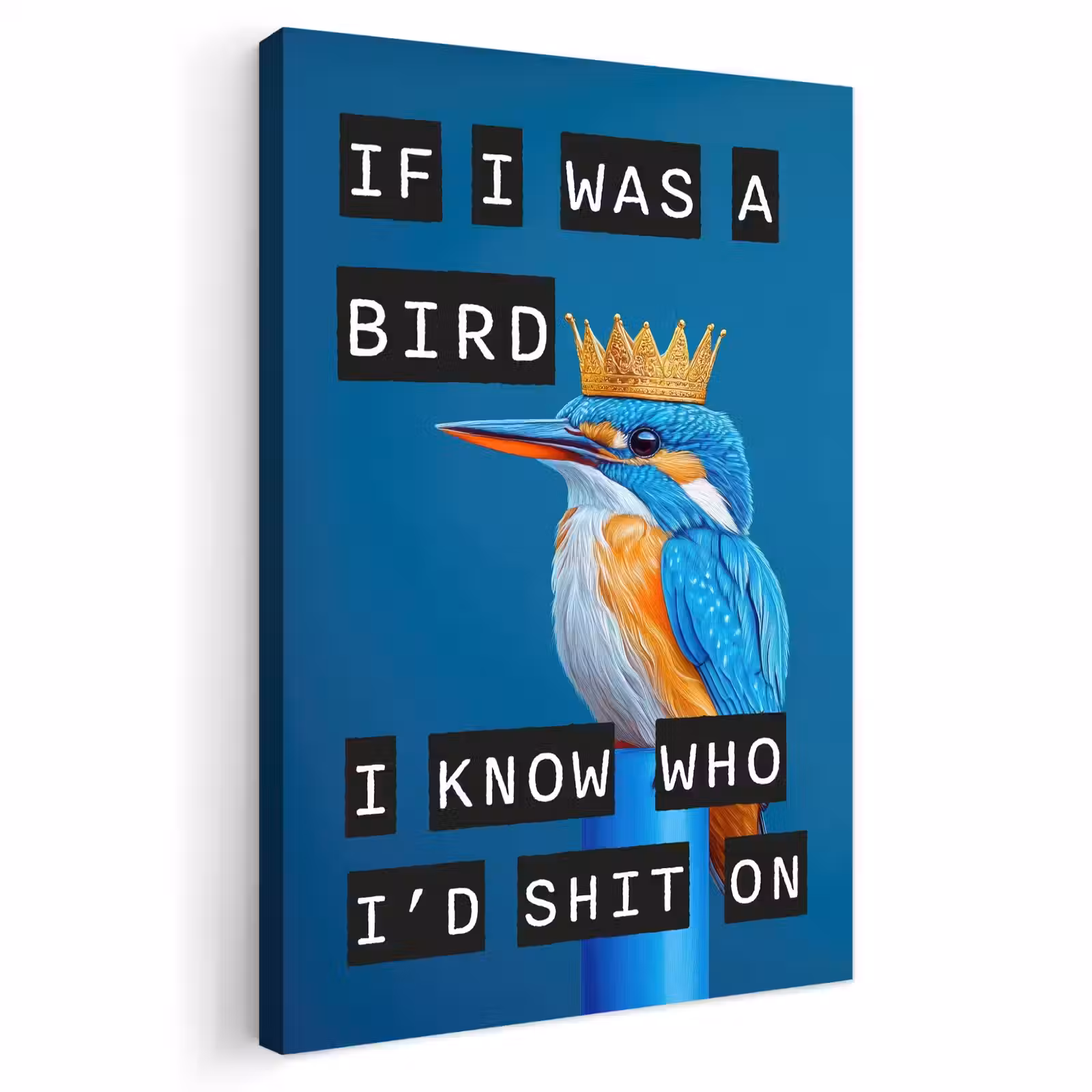 Buiten canvas - Vogel - Decoratie - Ijsvogel - Blauw — 1