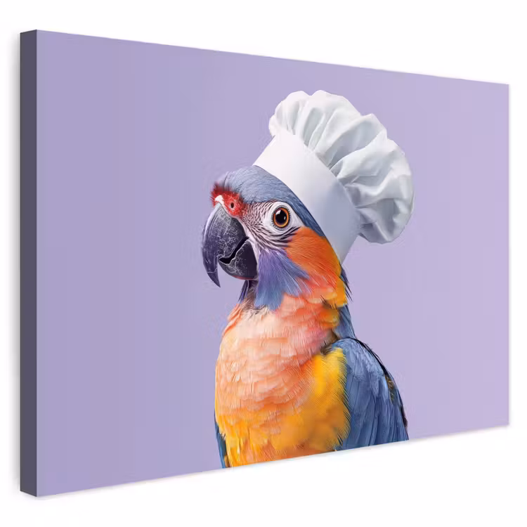 Buiten canvas - Papegaai - Koksmuts - Paars - Cute — 1