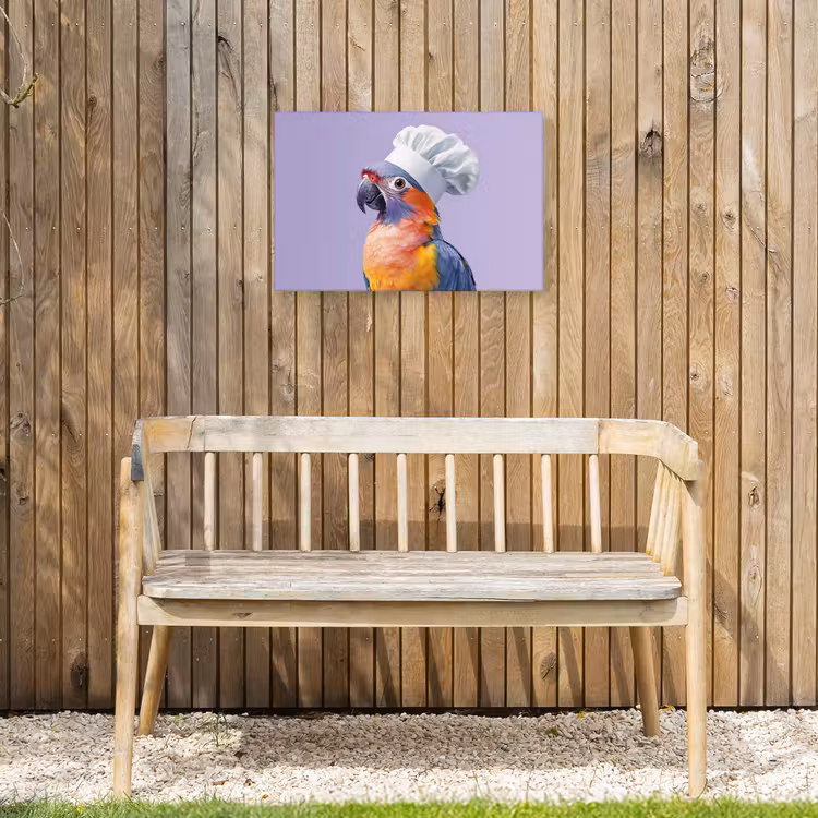Buiten canvas - Papegaai - Koksmuts - Paars - Cute — 3