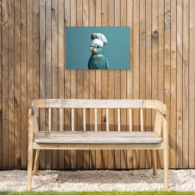 Buiten canvas - Parkiet - Vogel - Koksmuts - Cute — 3