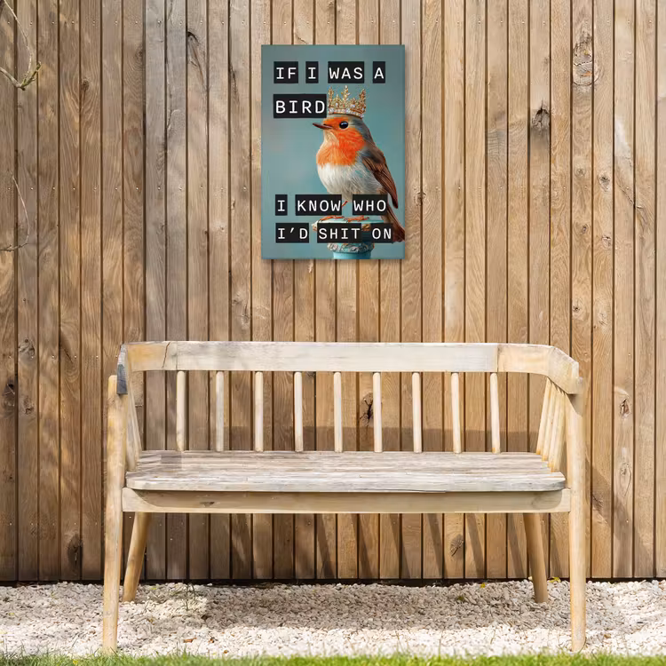 Buiten canvas - Roodborstje - Vogel - Blauw - Decoratie — 3