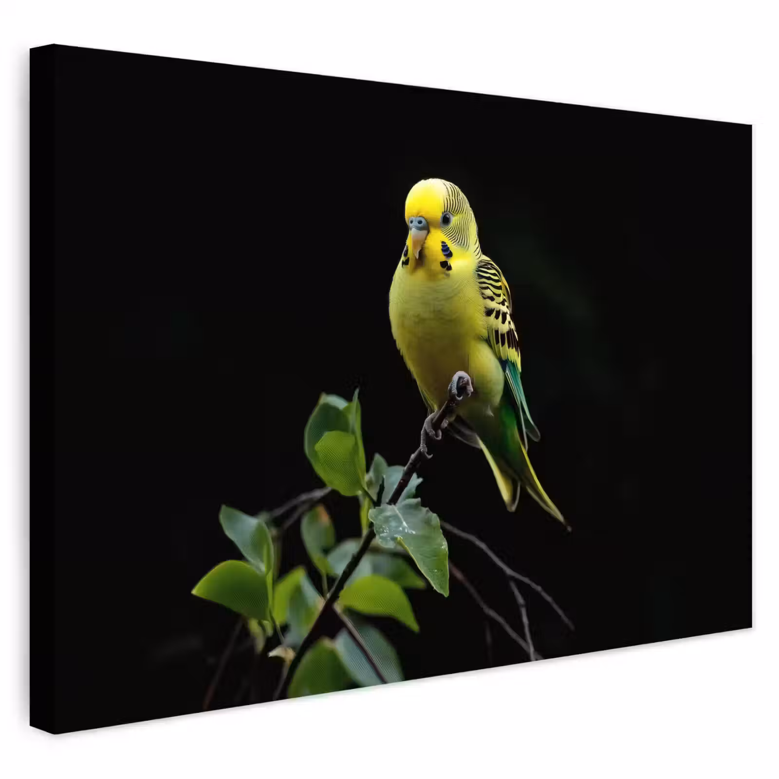 Buiten canvas - Parkiet - Tak - Bladeren - Geel — 1