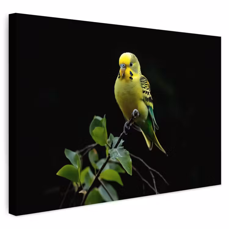 Buiten canvas - Parkiet - Tak - Bladeren - Geel — 1