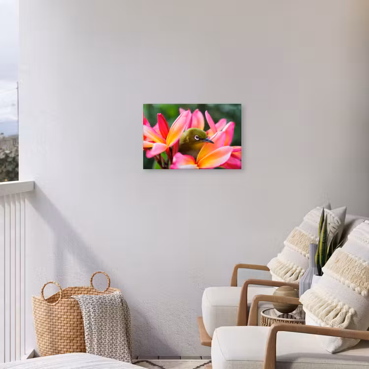 Buiten canvas - Tropische vogel tussen roze bloem — 4