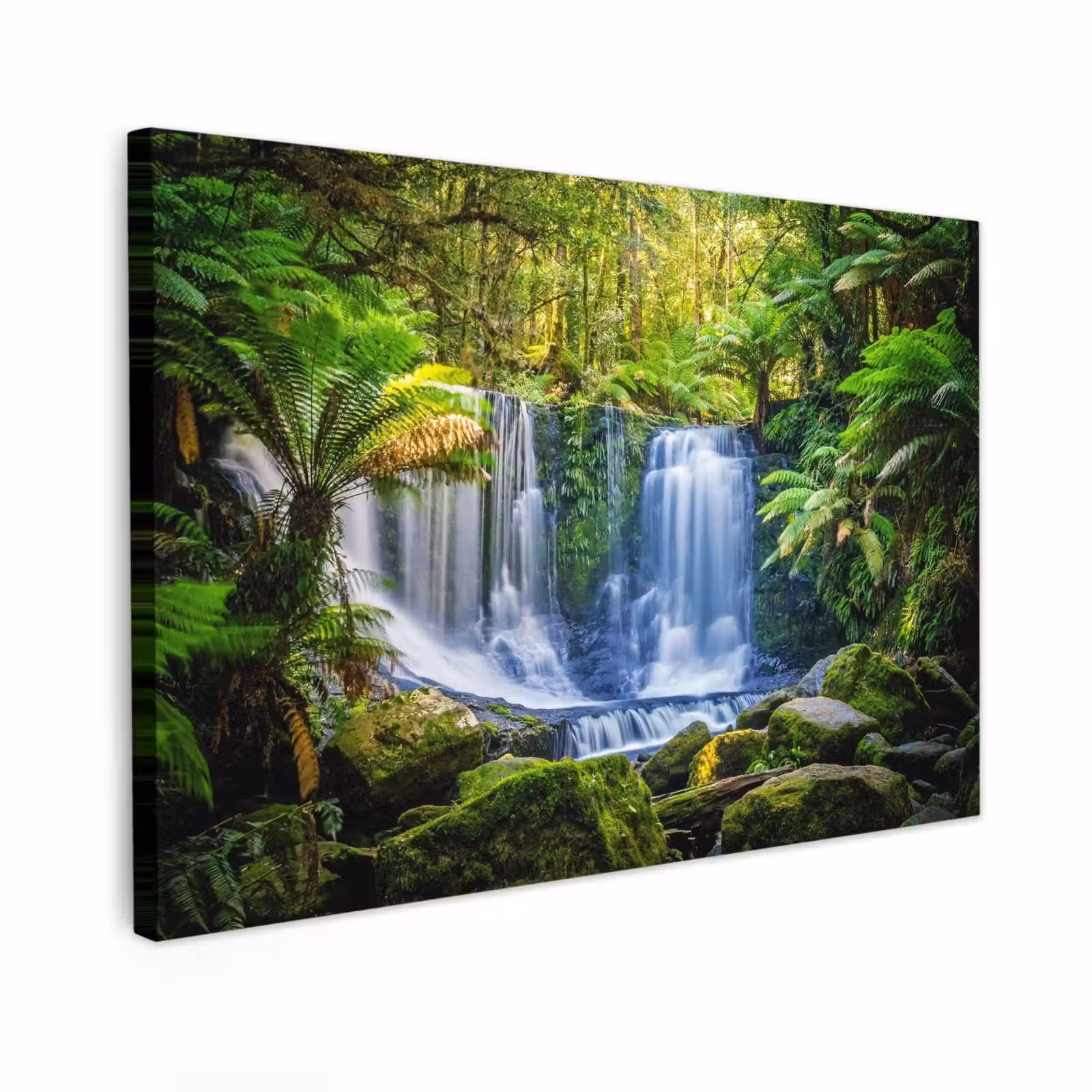Buiten canvas - Waterval in het Regenwoud — 1