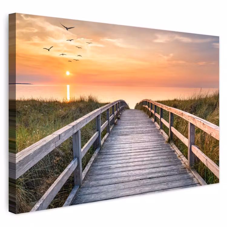 Buiten canvas - Zonsonderang - Zee - Pad - Gras - Duin - Vogels — 1