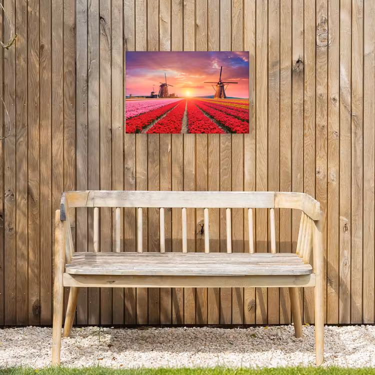 Buiten canvas - Tulpenvelden met windmolens bij zonsondergang — 3