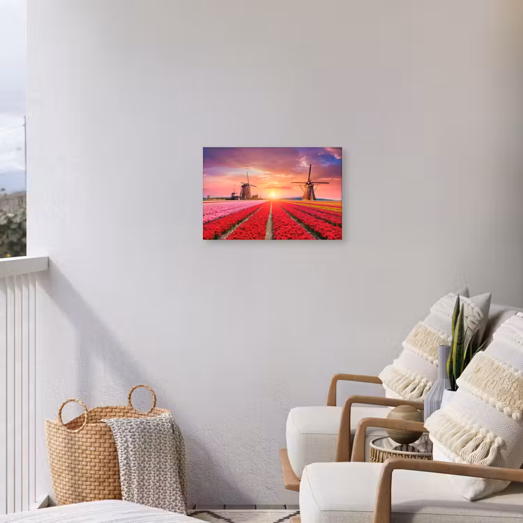 Buiten canvas - Tulpenvelden met windmolens bij zonsondergang — 4