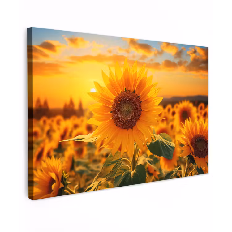 Buiten canvas - Zonnebloem in de avondzon — 1