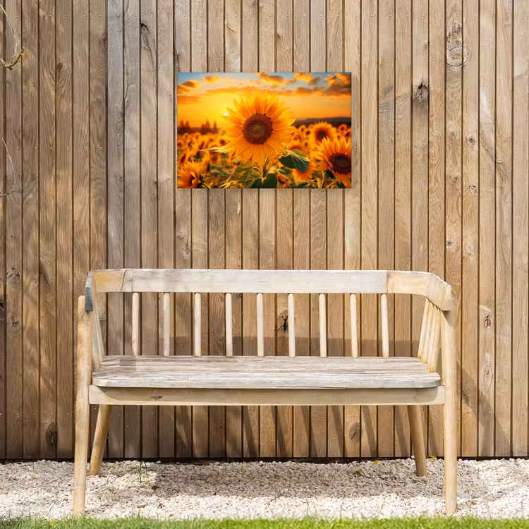 Buiten canvas - Zonnebloem in de avondzon — 3