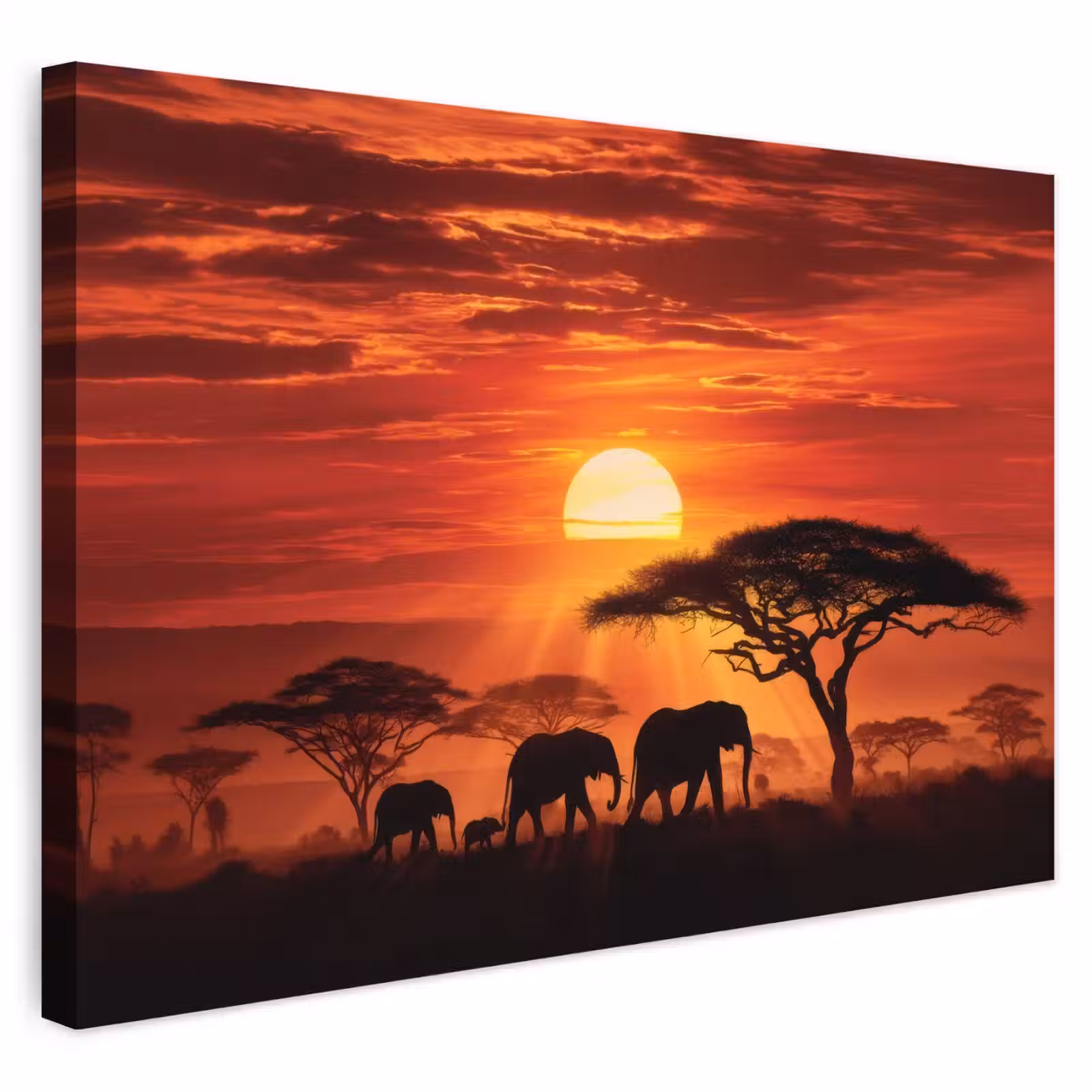Buiten canvas - Savanne - Olifanten - Zonsondergang — 1