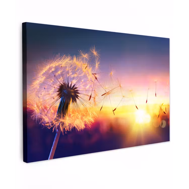 Buiten canvas - Paardenbloem in de Avondschemering — 1