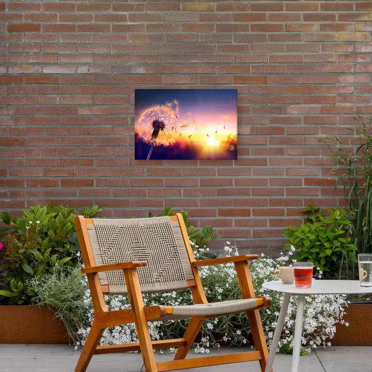 Buiten canvas - Paardenbloem in de Avondschemering — 2