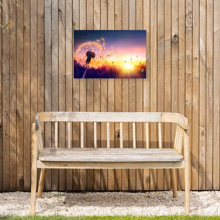 Buiten canvas - Paardenbloem in de Avondschemering — 3