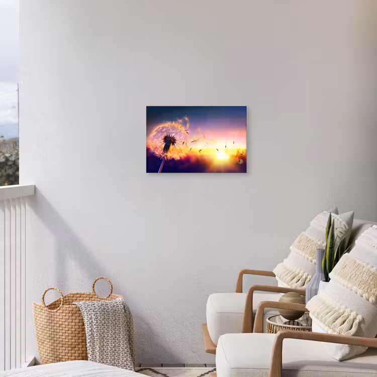 Buiten canvas - Paardenbloem in de Avondschemering — 4