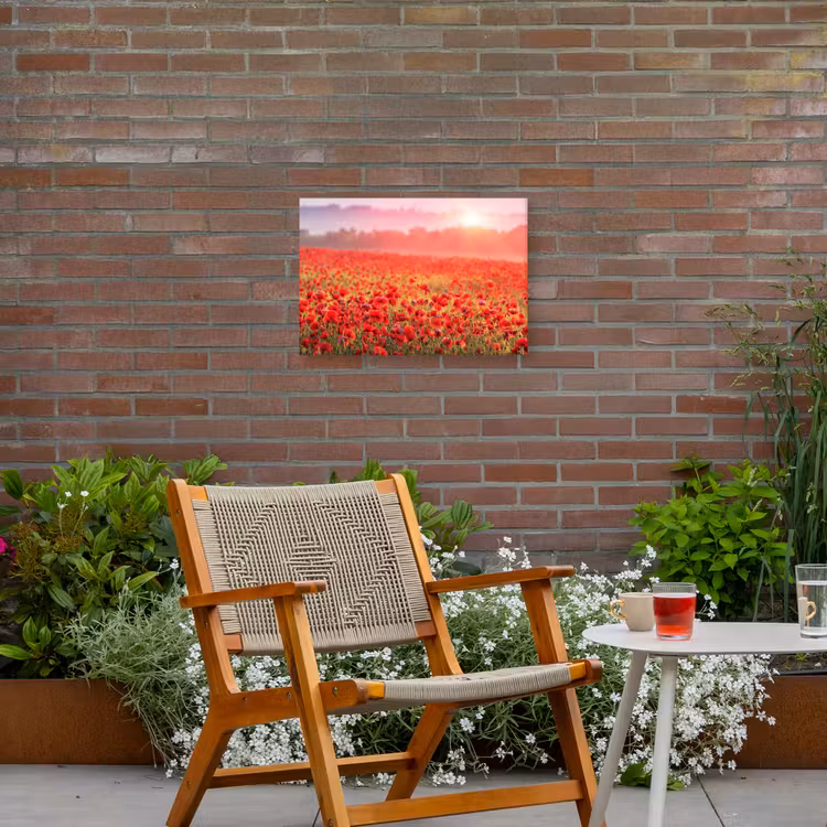 Buiten canvas - Rode klaprozen in de ochtendzon — 2