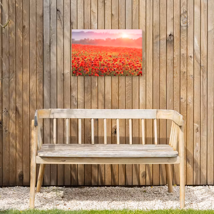 Buiten canvas - Rode klaprozen in de ochtendzon — 3