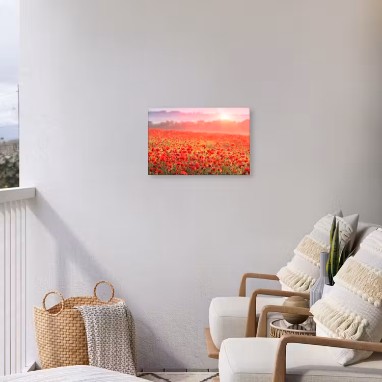 Buiten canvas - Rode klaprozen in de ochtendzon — 4