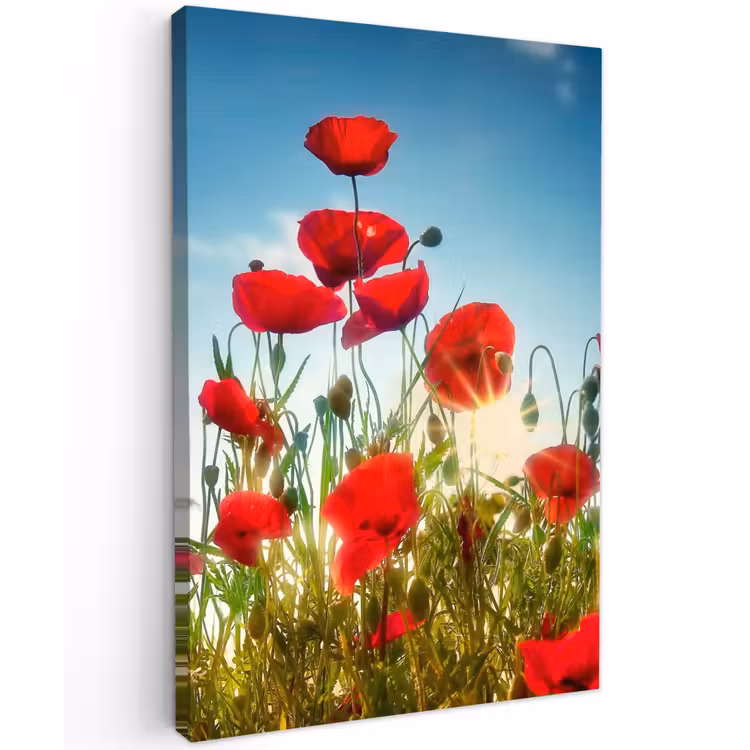 Buiten canvas - Rode klaprozen tegen de hemel — 1