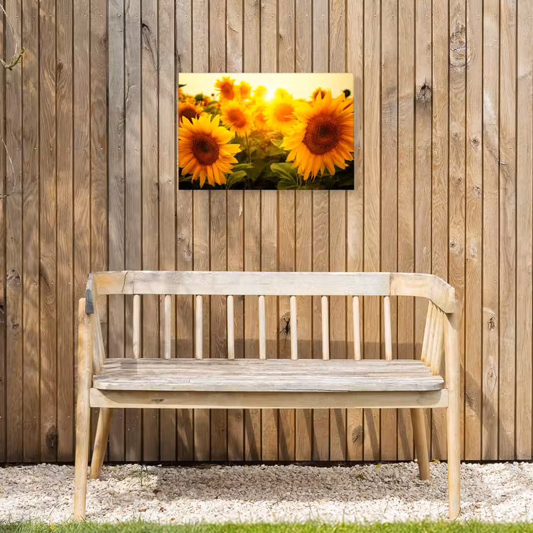 Buiten canvas - Zonnebloemen in het zonlicht — 3