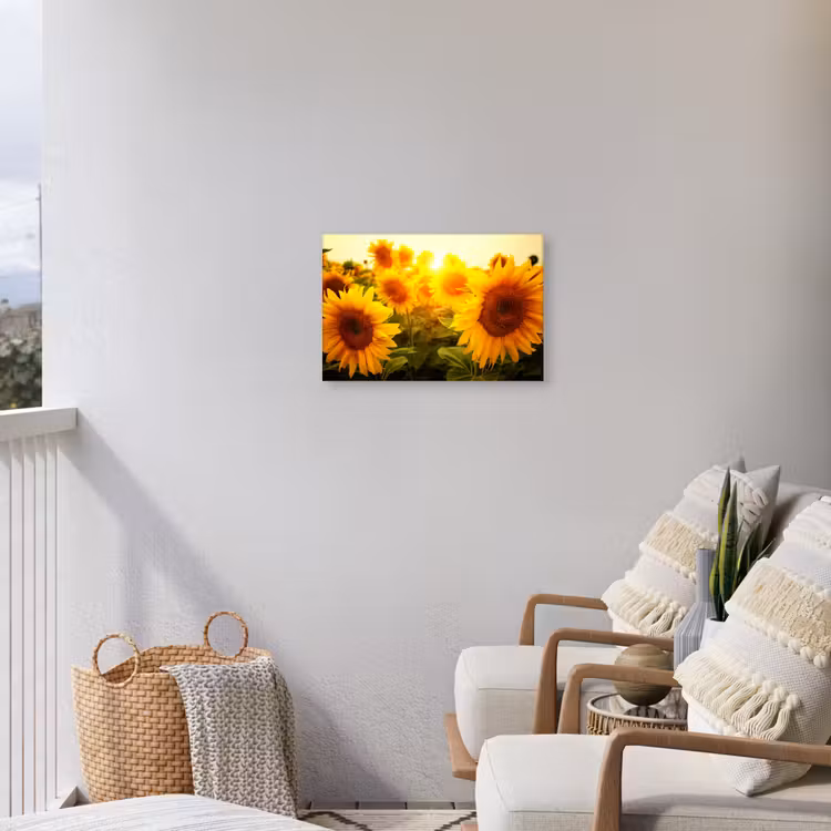 Buiten canvas - Zonnebloemen in het zonlicht — 4