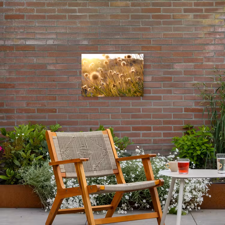 Buiten canvas - Verlichte zaadhoofden in de avondzon — 2