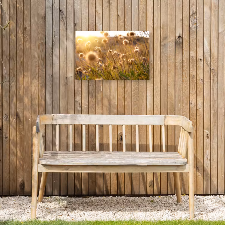 Buiten canvas - Verlichte zaadhoofden in de avondzon — 3