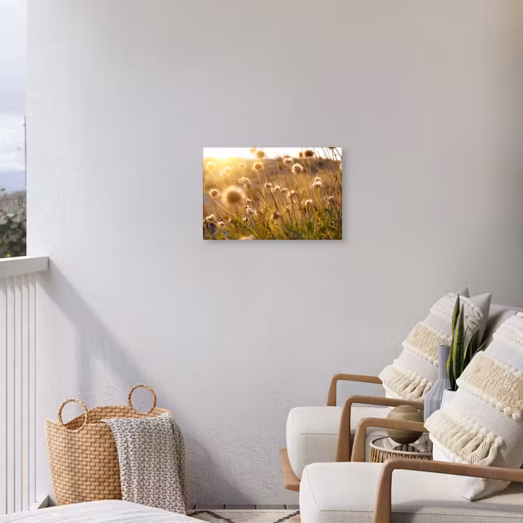 Buiten canvas - Verlichte zaadhoofden in de avondzon — 4