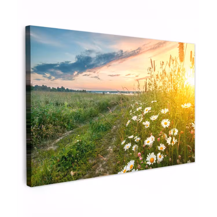 Buiten canvas - Wilde bloemen in de ochtendzon — 1