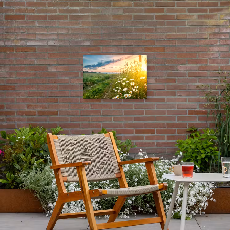 Buiten canvas - Wilde bloemen in de ochtendzon — 2