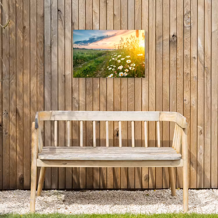 Buiten canvas - Wilde bloemen in de ochtendzon — 3