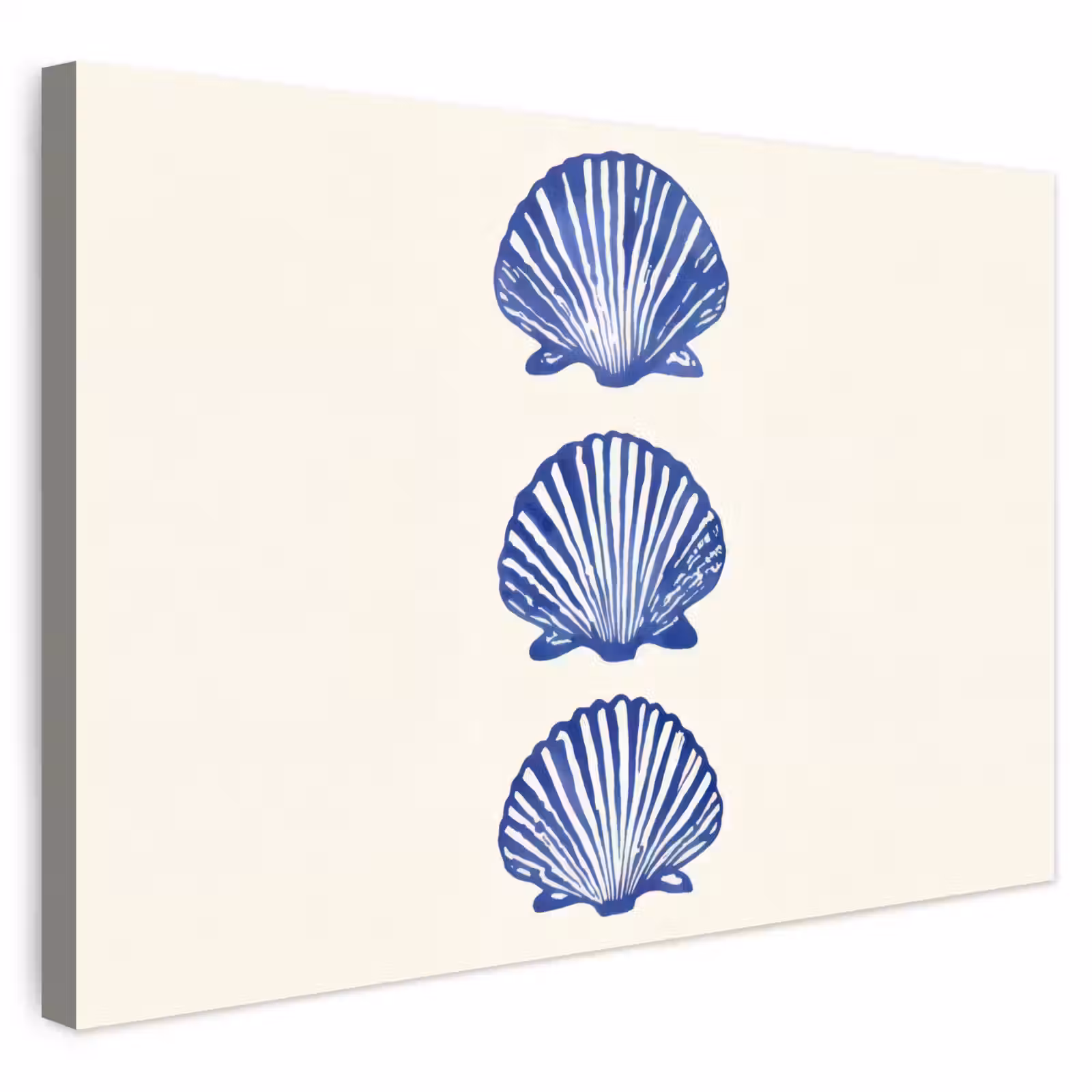 Buiten canvas - Schelpen - Blauw - Patroon — 1