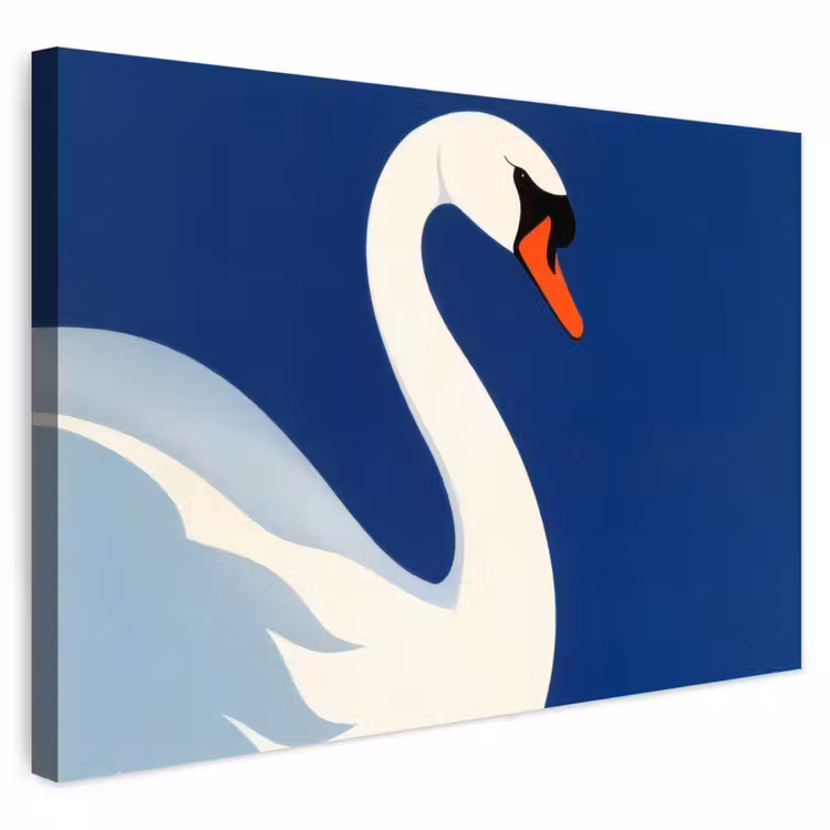 Buiten canvas - Zwaan - Wit - Snavel - Illustratie — 1