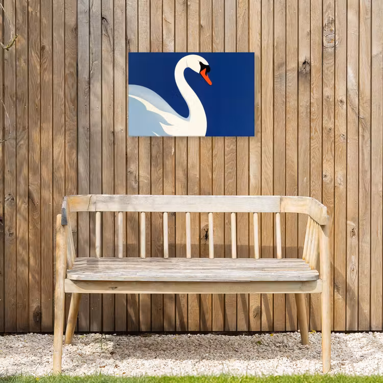 Buiten canvas - Zwaan - Wit - Snavel - Illustratie — 3