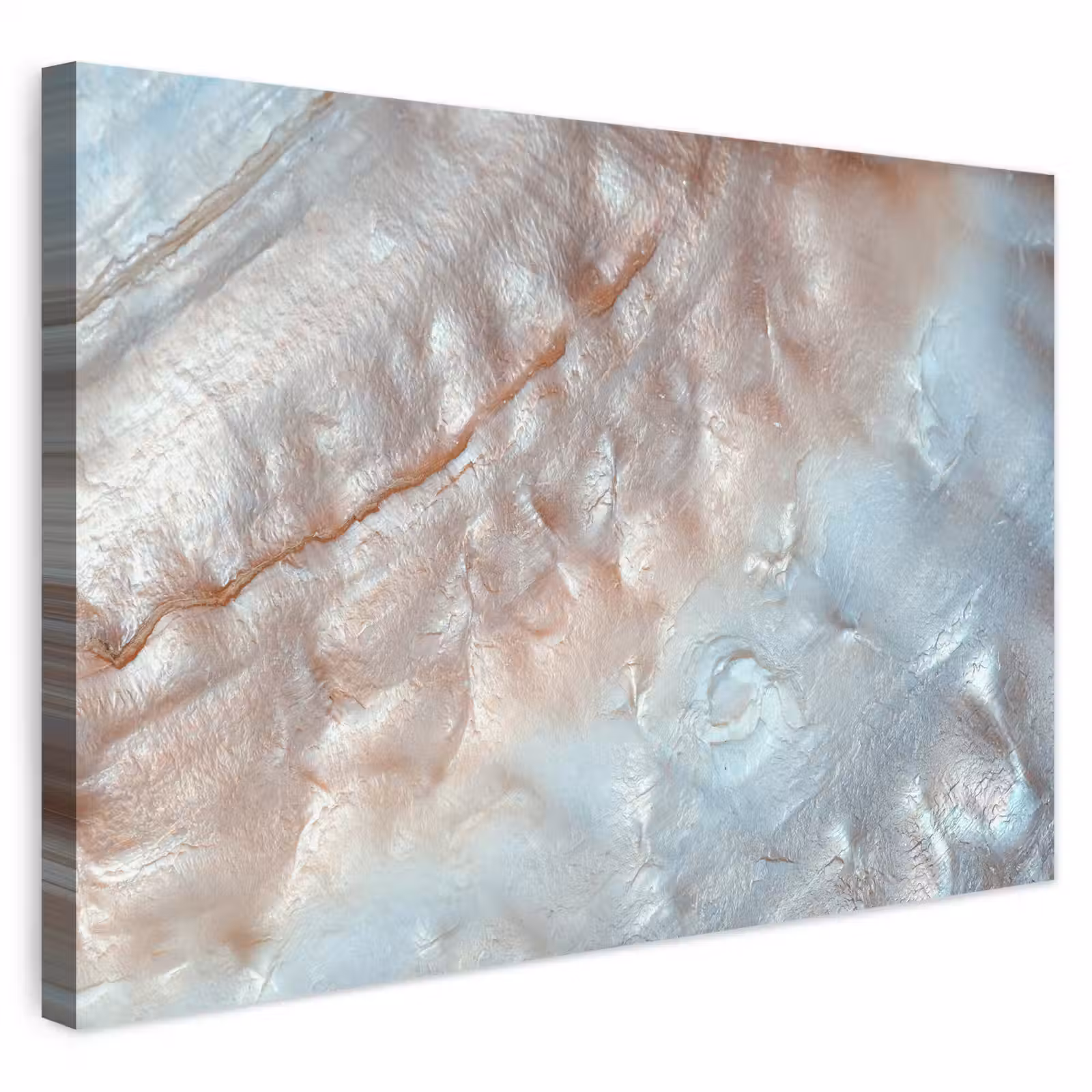 Buiten canvas - Schelpen - Abstract - Natuur — 1
