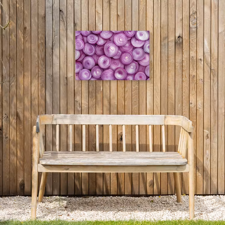 Buiten canvas - Paars - Uien - Close up — 3
