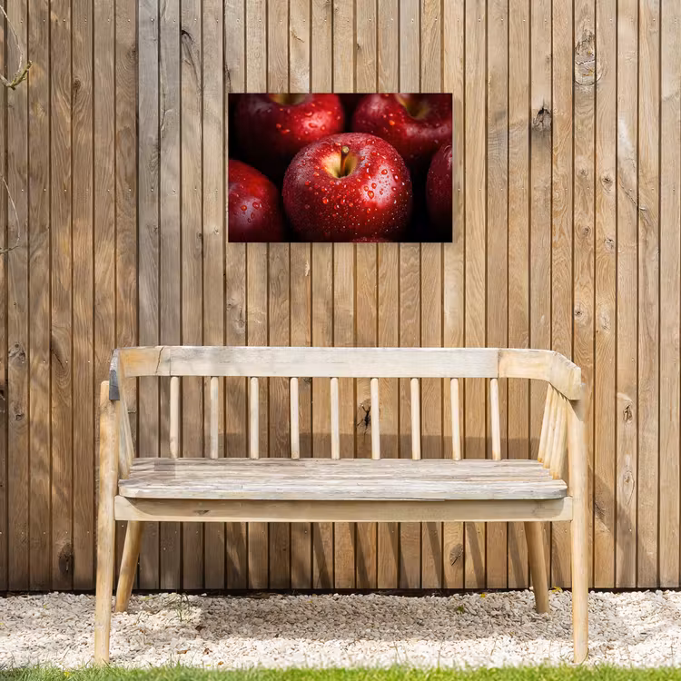 Buiten canvas - Rood - Appels - Fruit — 3