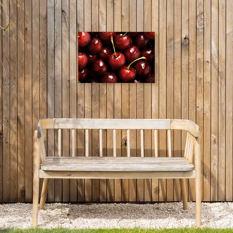 Buiten canvas - Rood - Fruit - Kersen — 3