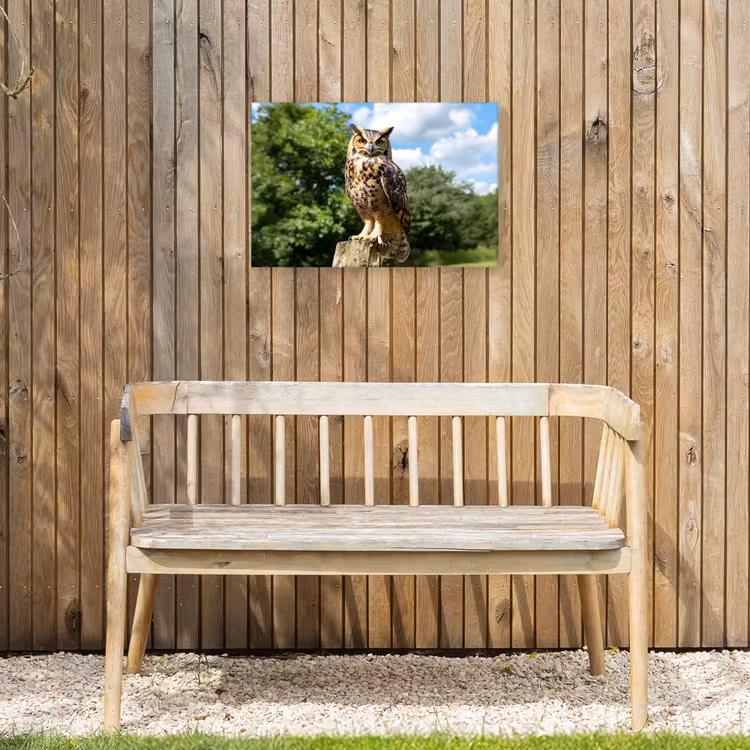 Buiten canvas - Uil - Boomstronk - Bos - Lucht — 3