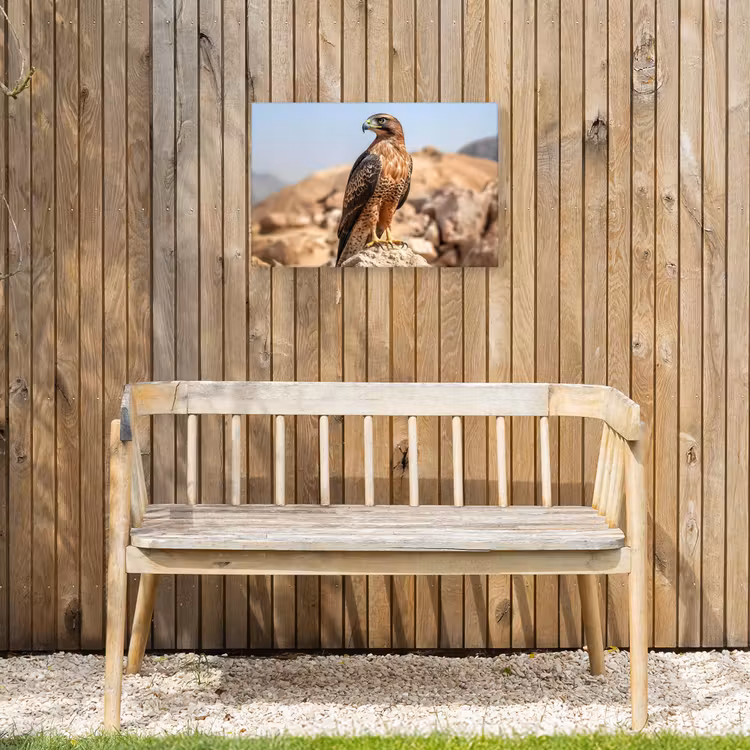 Buiten canvas - Valk - Vogel - Rots - Macht — 3