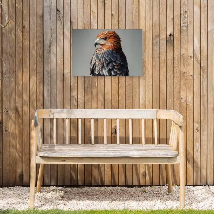 Buiten canvas - Vogel - Realistisch - Veren - Bruin — 3