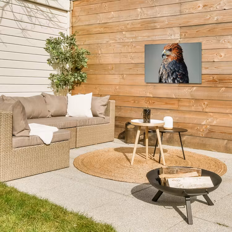 Buiten canvas - Vogel - Realistisch - Veren - Bruin — 5