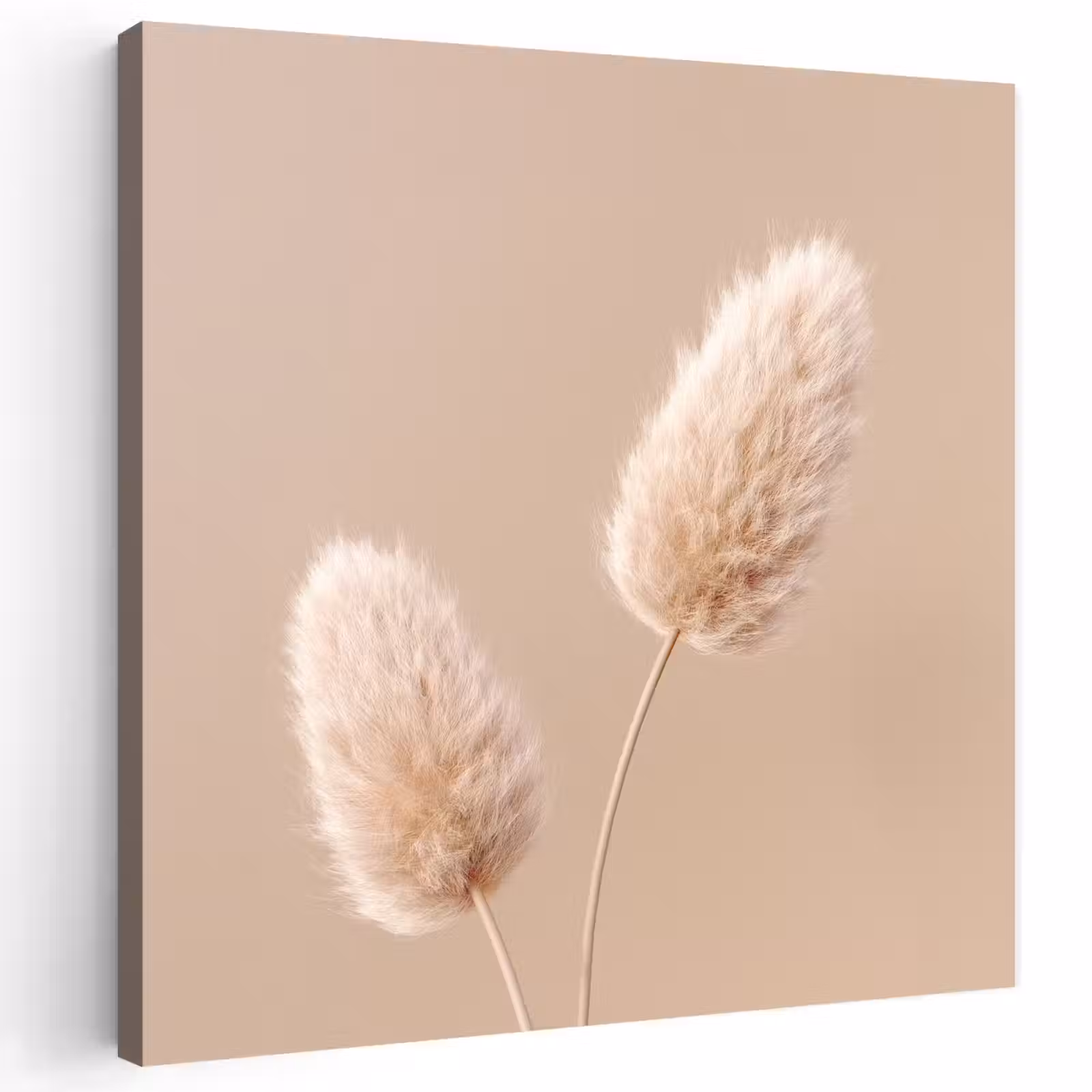 Buiten canvas - Pampas pluimen - Beige - Planten — 1