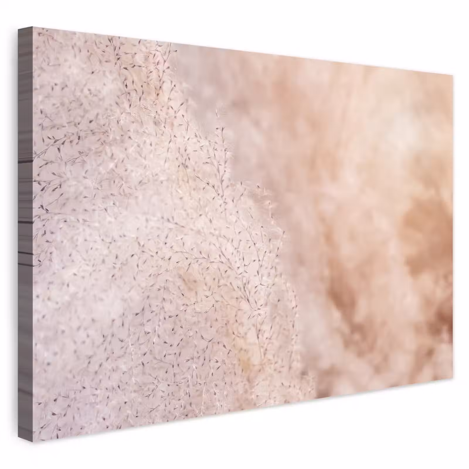 Buiten canvas - Pampasgras - Structuur - Planten - Natuur — 1