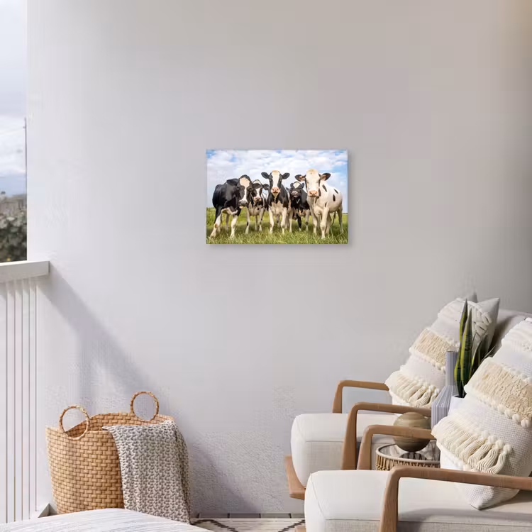 Buiten canvas - Nieuwsgierige koeien in de wei — 4
