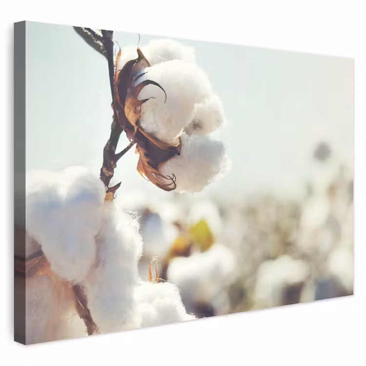 Buiten canvas - Planten - Bloem - Tak - Natuur — 1