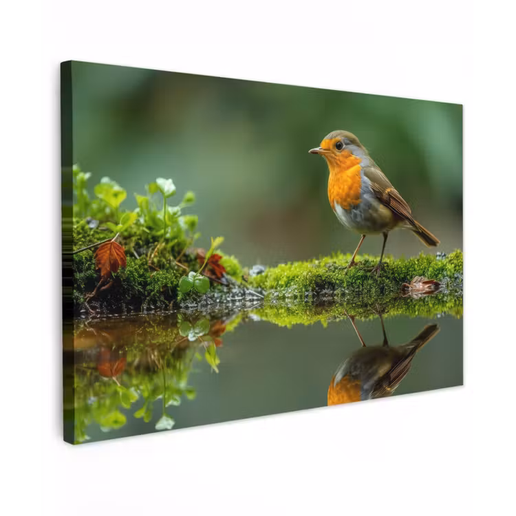 Buiten canvas - Roodborstje bij het Water — 1