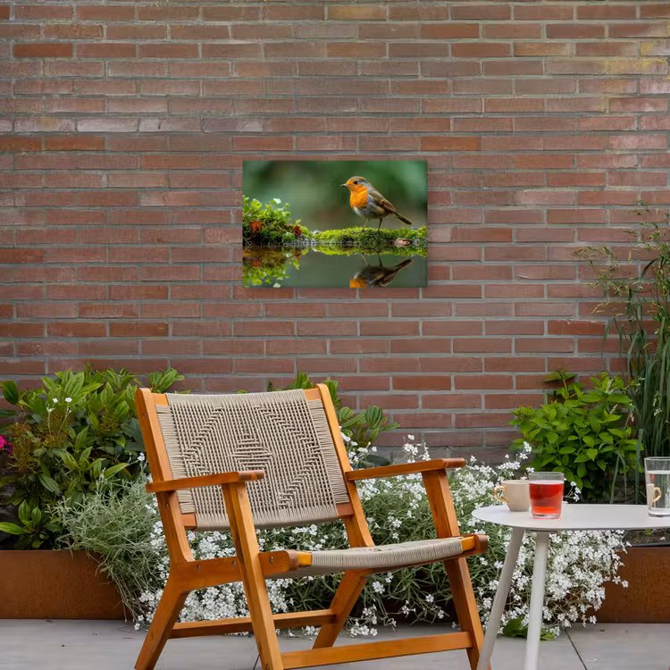 Buiten canvas - Roodborstje bij het Water — 2