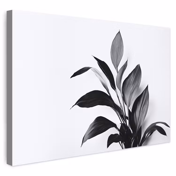 Buiten canvas - Plant - Bladeren - Minimalistisch - Zwart — 1